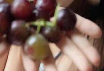 黑料不打烊最新入口在这里，放心，有瓜不怕！快进来！
