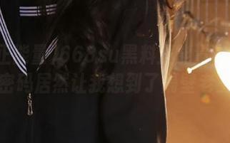 668su黑料正能量官网：入口密码居然让我想到了隔壁老王！