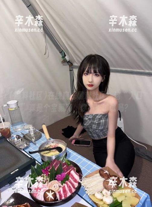 在线窥探黑料社区：这“入口”真是个宝藏啊，你不来试试吗？